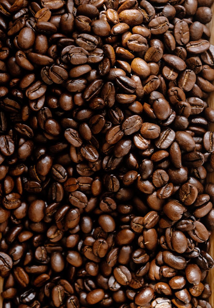 Richly roasted coffee beans in a detailed close-up capture the essence of aroma and flavor.